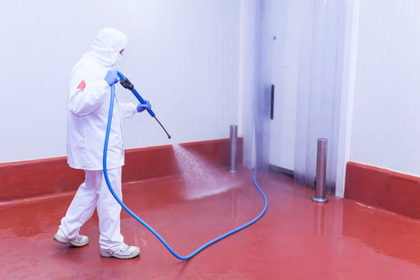  Winnsboro, SC Pressure Washing Pros